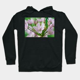 Allium unifolium  American onion Hoodie